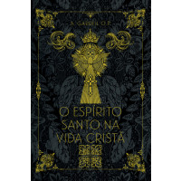 O Espírito Santo na Vida Cristã